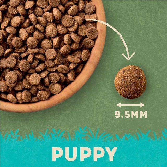 Harringtons Puppy Turkey    1.7kg