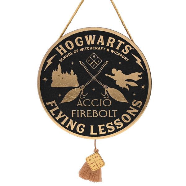 Harry Potter Alumni Pendent Flying Lesson