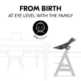 Hauck Alpha Bouncer Premium in Dark Grey - British product