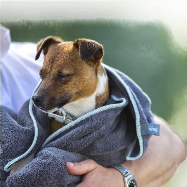 Henry Wag Microfibre Cleaning Dog Towel