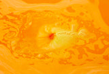 Hinata Bath Bomb