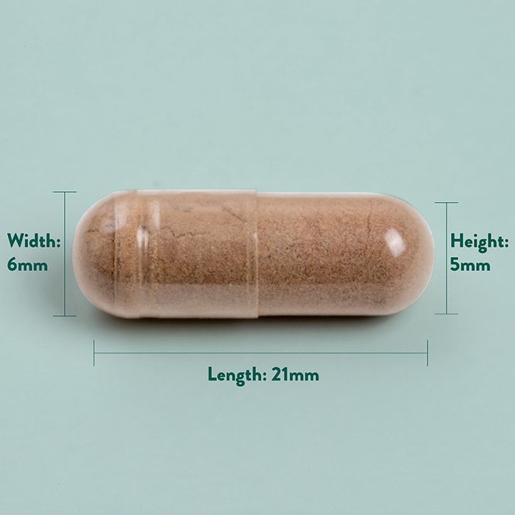 Holland &amp;amp; Barrett Druivenpit Extract 100mg