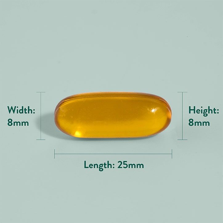 Holland &amp;amp; Barrett Vegan High Strength Flaxseed Triple Omega 3-6-9 Oil 60 Capsules
