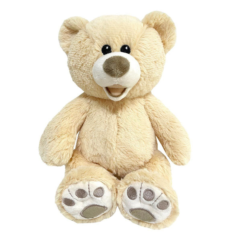 Hugfun Teddy Bears Dog Toys, Pack – McGrocer