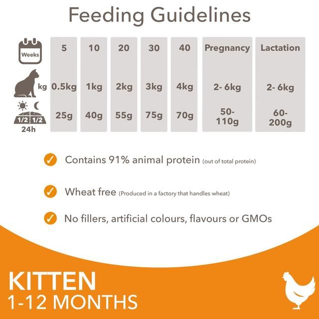 IAMS 1-12 Months Kitten Dry Cat Food Chicken   3kg