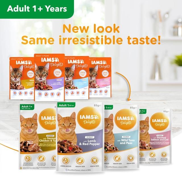 Iams Delights Adult Land &amp;amp; Sea Collection in Gravy Multipack   48 x 85g