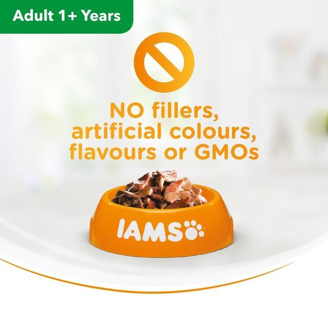 Iams Delights Adult Land &amp;amp; Sea Collection in Gravy Multipack   48 x 85g