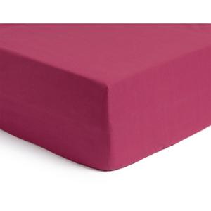 Sainsburys Habitat Cotton Rich 180 Thread Count Fitted Sheet Plain Berry Bedroom Textile- Buy online at McGrocer