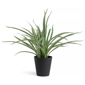 Sainsburys Sainsbury's Home Faux Spider Plant Green Artificial Plant 38.1cm- Buy online at McGrocer