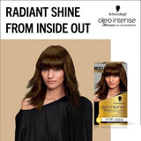 Permanent Hair Dye for Light Blonde to Light Brown Hair with Argan Oil Formula
