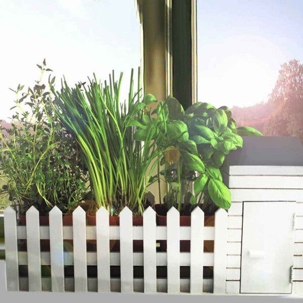 Indoor Allotment Gift Set