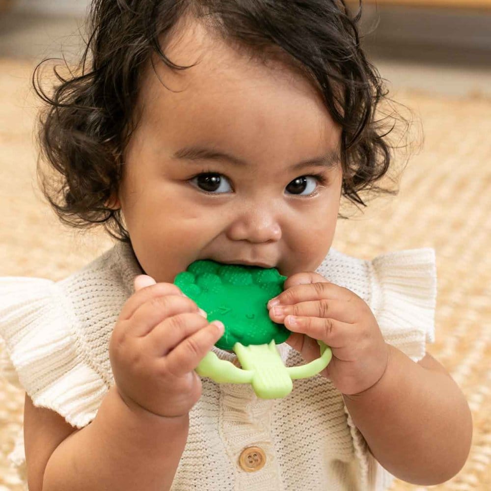 Infantino Lil Nibbles silicone teether broccoli, imported from the UK