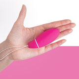 Intimina KegelSmart