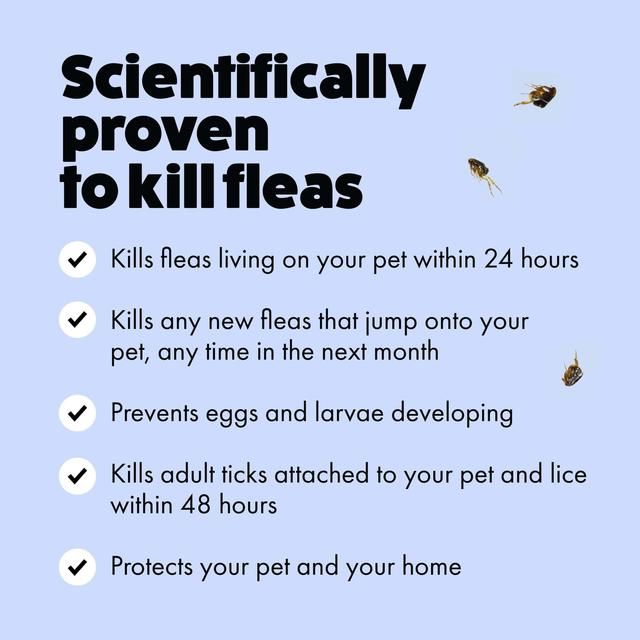 Itch Flea Small Dog Spot-On Flea &amp;amp; Tick treatment (2-10kg)