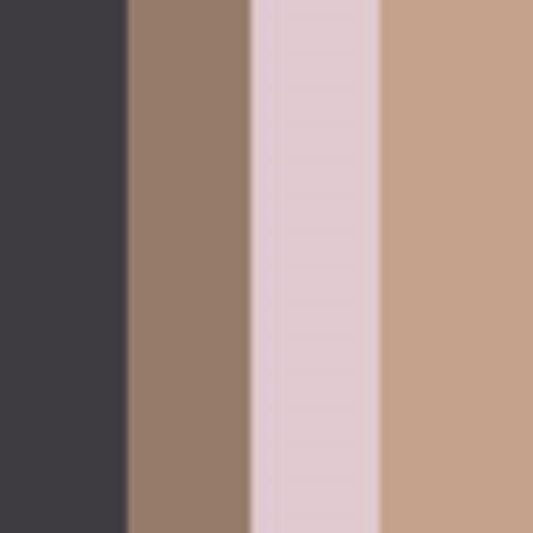 Joan Collins Definition Brow & Eye Definition Kit 4g