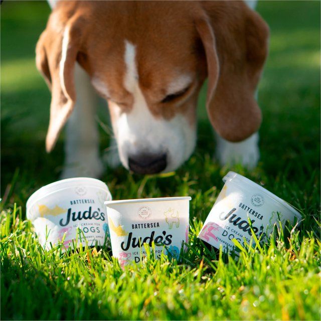 Jude's Ice Cream for Dogs   90ml