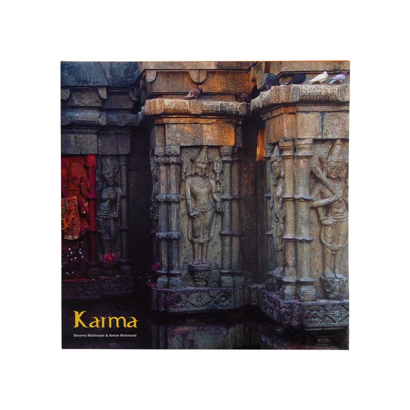 Vinyl record Karma with USB by Sheema Mukherjee - British product