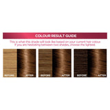L'Oreal Excellence Creme 5.3 Golden Brown Permanent Hair Dye
