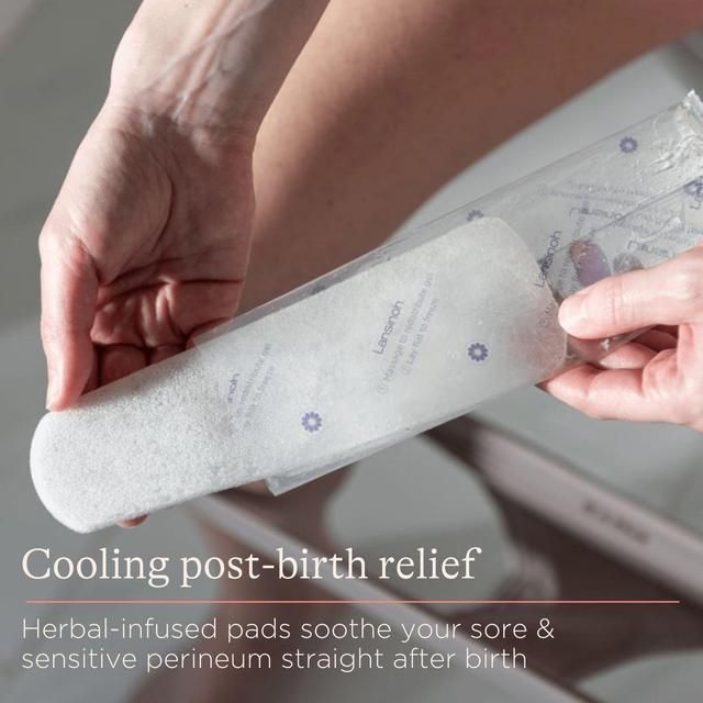 Lansinoh Postpartum Padsicles   8 per pack