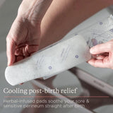 Lansinoh Postpartum Padsicles   8 per pack