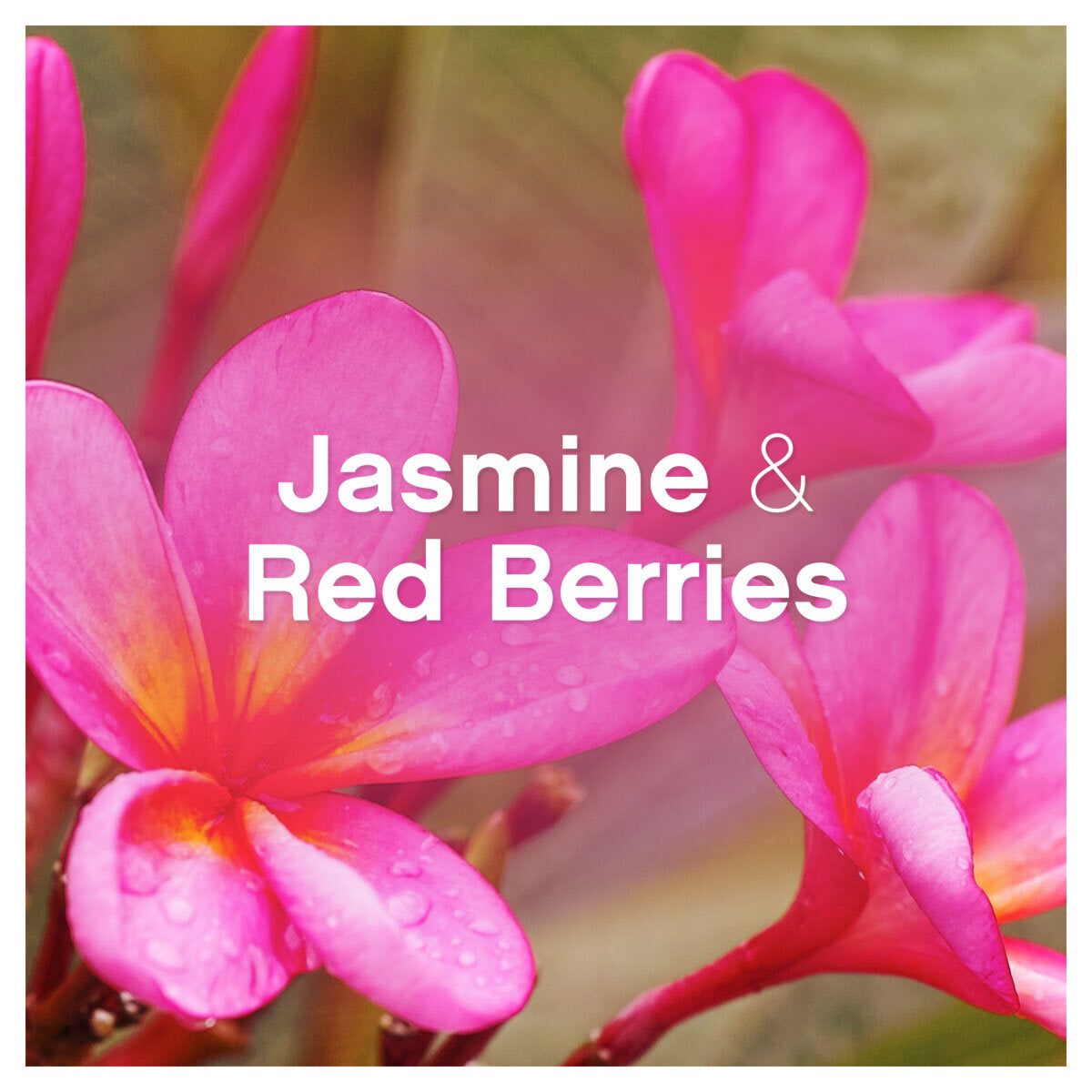 Lenor Wellbeing Collection Jasmine &amp;amp; Red Berries Fabric Conditioner, 3.6L (180 Wash)