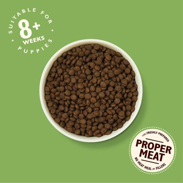 Lily's Kitchen Dog Chicken &amp;amp; Salmon Puppy Recipe Dry Food   7kg