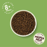 Lily's Kitchen Dog Chicken &amp;amp; Salmon Puppy Recipe Dry Food   7kg