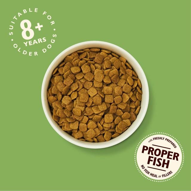 Lily's Kitchen Dog Turkey & Trout Senior Recipe Dry Food   2.5kg