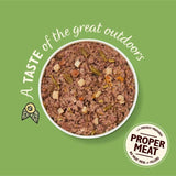 Lily's Kitchen Wild Campfire Stew for Dogs   150g