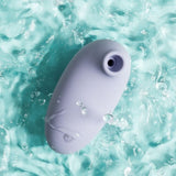 Lovehoney Mon Ami Pleasure Air Suction Simulator