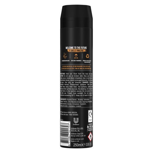 Lynx Men Leather &amp; Cookies Bodyspray Deodorant Aerosol 250ml