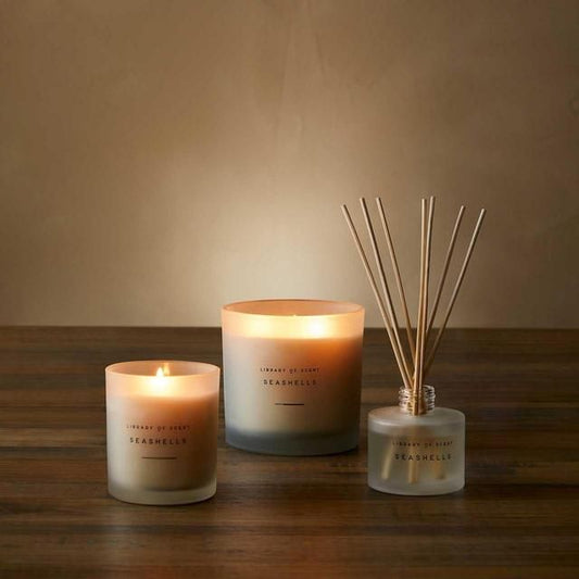 M&S Seashells Candle