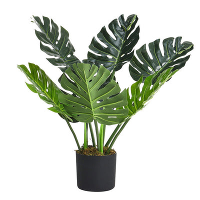Superdrug Livingandhome Artificial Tropical Monstera Tree Faux Plant- Buy online at McGrocer