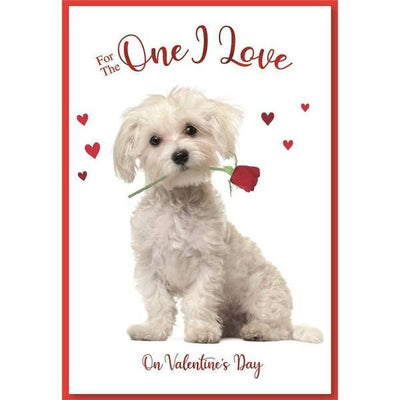 Simon Elvin One I Love Puppy Valentinstagskarte (6er-Pack)