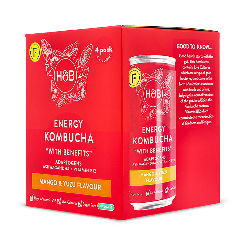 Holland Barrett Energy Kombucha 4x 250ml