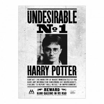 Superdrug Harry Potter Undesirable No.1 Framed Canvas (80cm x 60cm)- Buy online at McGrocer