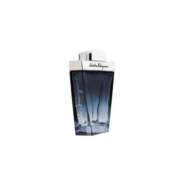 Salvatore Ferragamo Subtil Pour Homme EDT 100ml