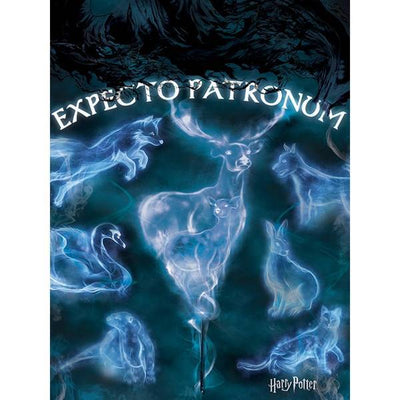 Superdrug Harry Potter Expecto Patronum Canvas Print (80cm x 60cm)- Buy online at McGrocer
