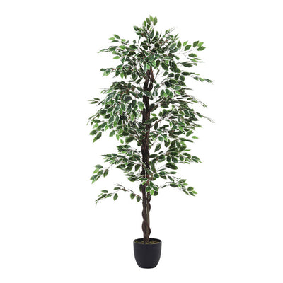 Superdrug Livingandhome Artificial Ficus Tree Decorative Plant 180cm- Buy online at McGrocer