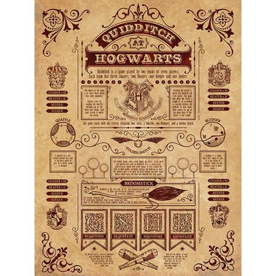 Superdrug Harry Potter Quidditch Canvas Print- Buy online at McGrocer