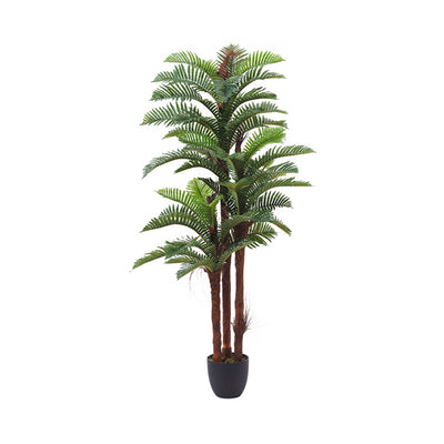 Superdrug Livingandhome Artificial Fern Decorative Plant in Planter- Buy online at McGrocer