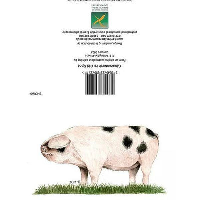 بطاقة خنزير غلوسيسترشاير القديم من كيفن ميلنر Countryside من Superdrug - اشترِ عبر الإنترنت من McGrocer
