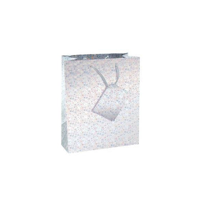 County Stationery Holografischer Geschenkbeutel (12er-Pack)