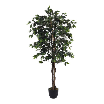 Superdrug Livingandhome Artificial Banyan Decorative Plant- Buy online at McGrocer
