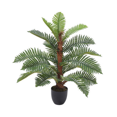 Superdrug Livingandhome Artificial Phoenix Fern Tree in Pot- Buy online at McGrocer