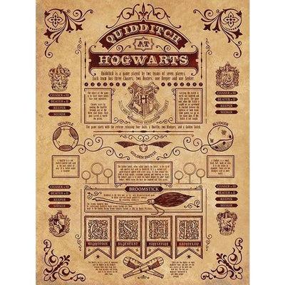 Superdrug Harry Potter Quidditch At Hogwarts Framed Canvas Print- Buy online at McGrocer