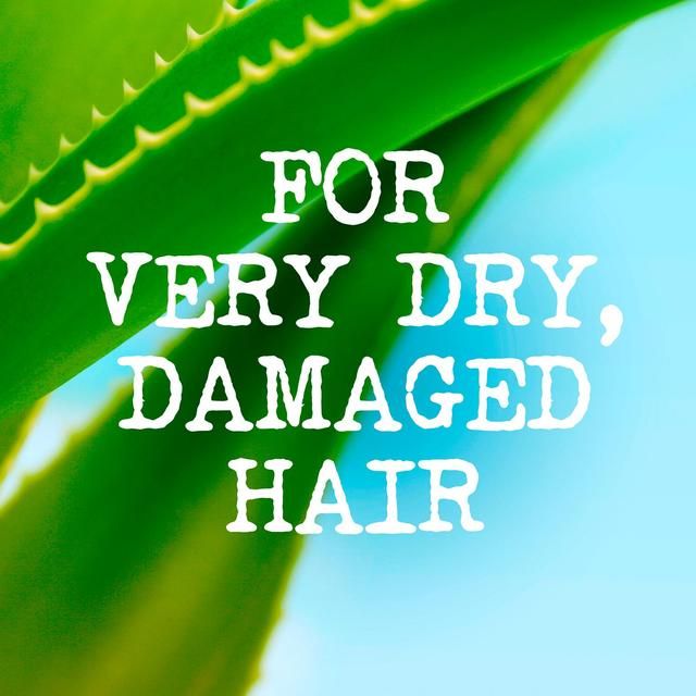 Maui Moisture Revive &amp; Hydrate+ מרכך חמאת שיאה 385 מ"ל