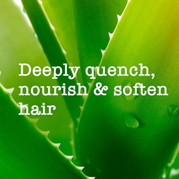 Maui Moisture Revive &amp;amp; Hydrate+ Shea Butter Conditioner