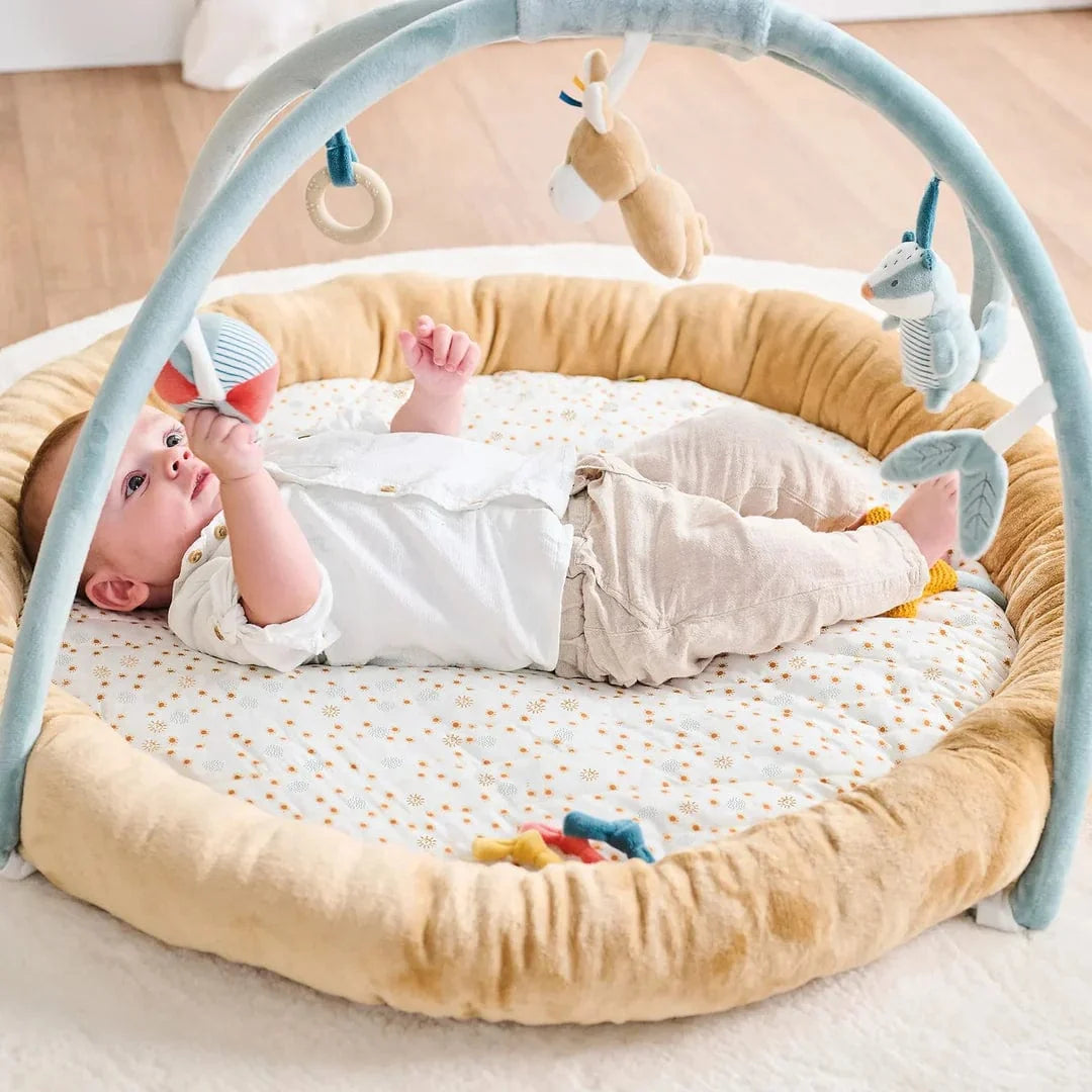 Nattou stuffed playmat with arches Felix and Leo (British brand)
