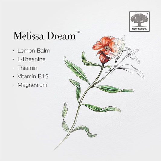 New Nordic Melissa Dream 100 Tablets